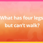 What has four legs, but can't walk?