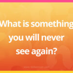 What is something you will never see again?