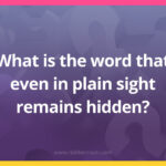 What is the word that even in plain sight remains hidden?