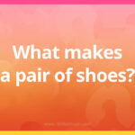 What makes a pair of shoes?