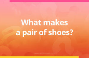 What makes a pair of shoes?