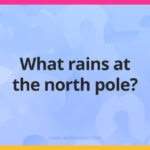 What rains at the north pole?