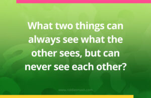 What two things can always see what the other sees, but can never see each other?
