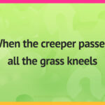 When the creeper passes, all the grass kneels.