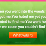 When you went into the woods you got me.You hated me yet you wanted to find me.You went home with me cause you couldn’t find me.