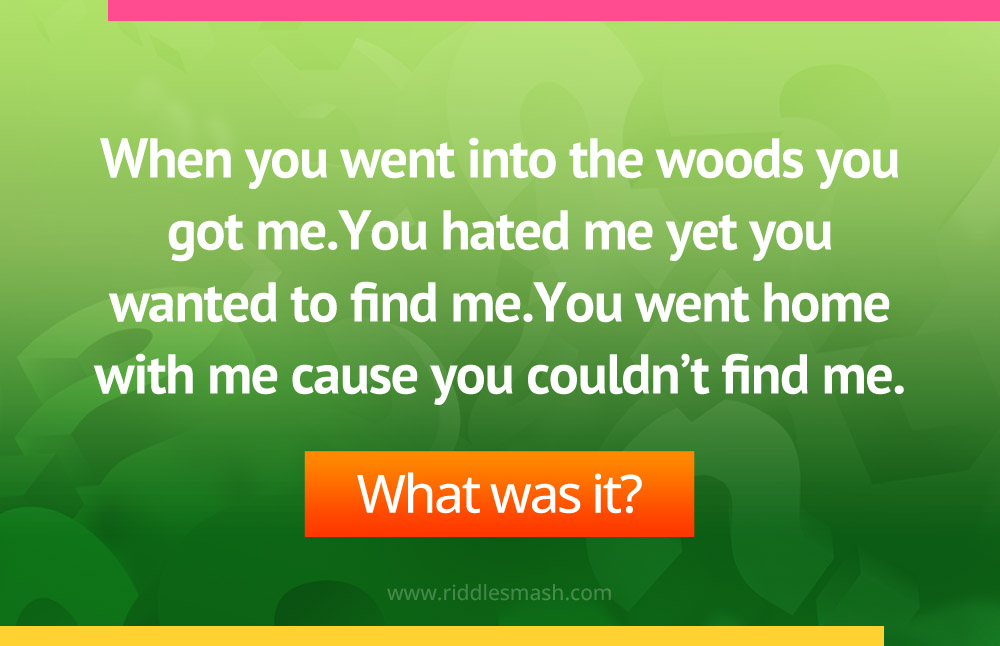 When you went into the woods you got me.You hated me yet you wanted to find me.You went home with me cause you couldn’t find me.