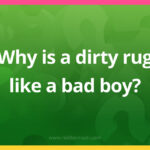 Why is a dirty rug like a bad boy?