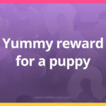 Yummy reward for a puppy.