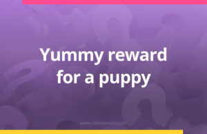 Yummy reward for a puppy.