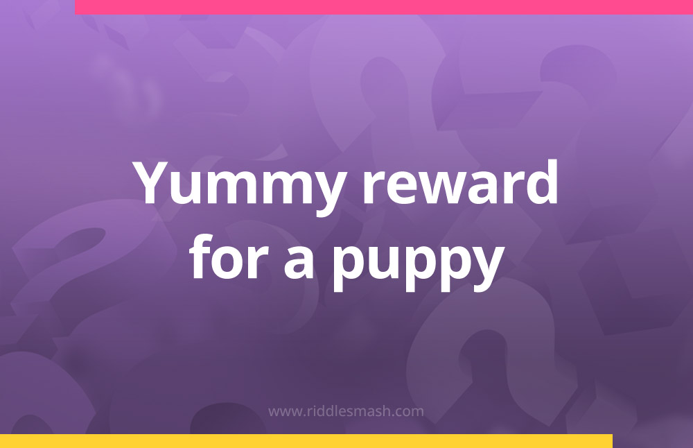 Yummy reward for a puppy.