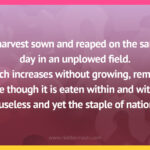 A harvest sown and reaped on the same day in an unplowed field. Which increases without growing, remains whole though it is eaten within and without. Is useless and yet the staple of nations.