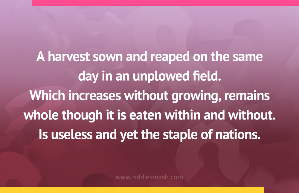 A harvest sown and reaped on the same day in an unplowed field. Which increases without growing, remains whole though it is eaten within and without. Is useless and yet the staple of nations.