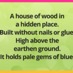 A house of wood in a hidden place. Built without nails or glue. High above the earthen ground. It holds pale gems of blue.