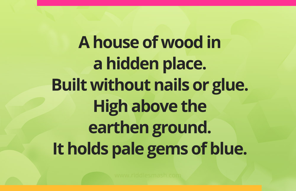 A house of wood in a hidden place. Built without nails or glue. High above the earthen ground. It holds pale gems of blue.