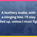 A leathery snake, with a stinging bite. I'll stay coiled up, unless I must fight.