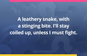 A leathery snake, with a stinging bite. I'll stay coiled up, unless I must fight.