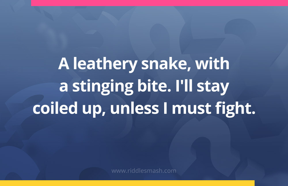 A leathery snake, with a stinging bite. I'll stay coiled up, unless I must fight.