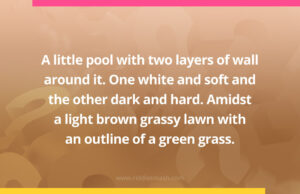 A little pool with two layers of wall around it. One white and soft and the other dark and hard. Amidst a light brown grassy lawn with an outline of a green grass.
