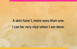 A skin have I, more eyes than one. I can be very nice when I am done.