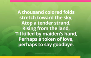 A thousand colored folds stretch toward the sky, Atop a tender strand, Rising from the land, ‘Til killed by maiden’s hand, Perhaps a token of love, perhaps to say goodbye.