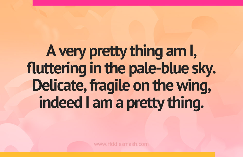 A very pretty thing am I, fluttering in the pale-blue sky. Delicate, fragile on the wing, indeed I am a pretty thing.