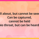 All about, but cannot be seen, Can be captured, cannot be held No throat, but can be heard.