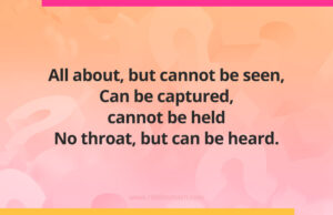 All about, but cannot be seen, Can be captured, cannot be held No throat, but can be heard.