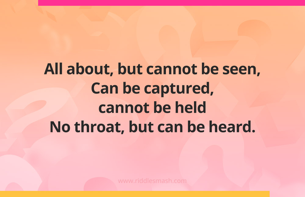 All about, but cannot be seen, Can be captured, cannot be held No throat, but can be heard.