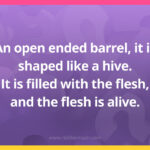 An open ended barrel, it is shaped like a hive. It is filled with the flesh, and the flesh is alive.