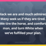 Black we are and much admired. Many seek us if they are tired. We tire the horse, and comfort man, and turn White when we've fulfilled your plan.