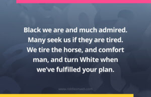 Black we are and much admired. Many seek us if they are tired. We tire the horse, and comfort man, and turn White when we've fulfilled your plan.