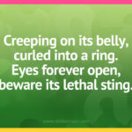Creeping on its belly, curled into a ring. Eyes forever open, beware its lethal sting.
