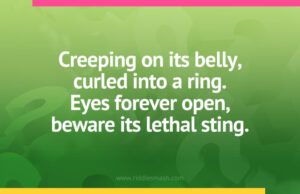 Creeping on its belly, curled into a ring. Eyes forever open, beware its lethal sting.