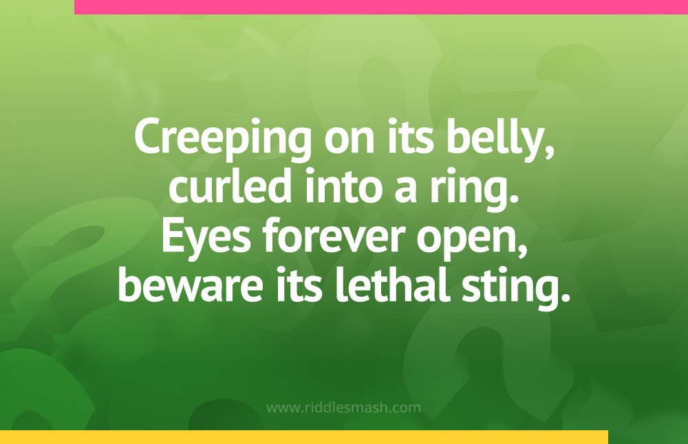 Creeping on its belly, curled into a ring. Eyes forever open, beware its lethal sting.