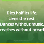 Dies half its life. Lives the rest. Dances without music. Breathes without breath.