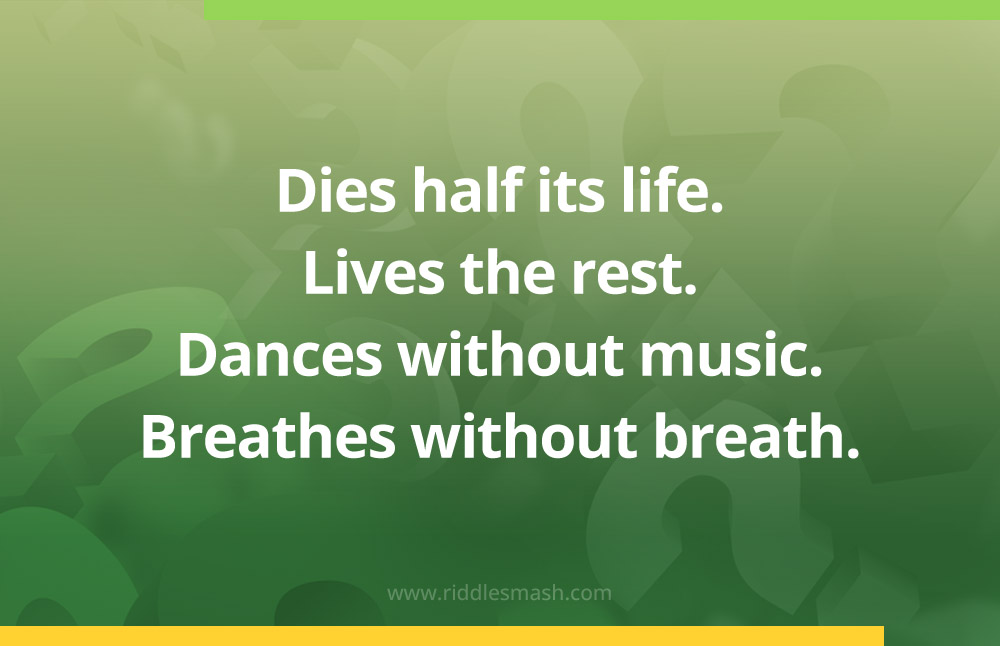 Dies half its life. Lives the rest. Dances without music. Breathes without breath.