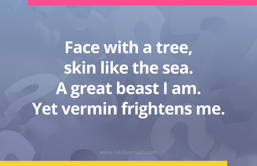 Face with a tree, skin like the sea. A great beast I am. Yet vermin frightens me.