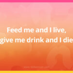 Feed me and I live, give me drink and I die.