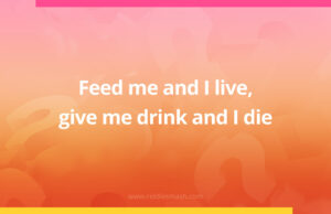 Feed me and I live, give me drink and I die.