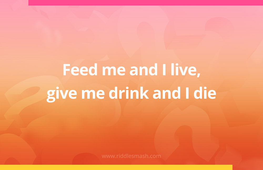 Feed me and I live, give me drink and I die.