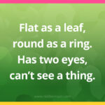 Flat as a leaf, round as a ring. Has two eyes, can't see a thing.