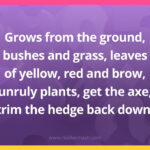 Grows from the ground, bushes and grass, leaves of yellow, red and brow, unruly plants, get the axe, trim the hedge back down.