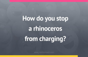 How do you stop a rhinoceros from charging?
