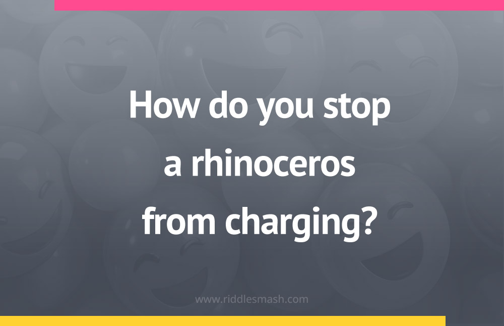 How do you stop a rhinoceros from charging?