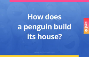 How does a penguin build its house?