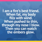 I am a fire's best friend. When fat, my body fills with wind. When pushed to thin, through my nose I blow. Then you can watch the embers glow.
