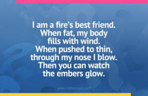 I am a fire's best friend. When fat, my body fills with wind. When pushed to thin, through my nose I blow. Then you can watch the embers glow.
