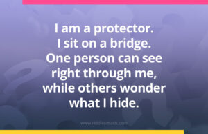 I am a protector. I sit on a bridge. One person can see right through me, while others wonder what I hide.