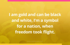 I am gold and can be black and white, I'm a symbol for a nation, when freedom took flight.