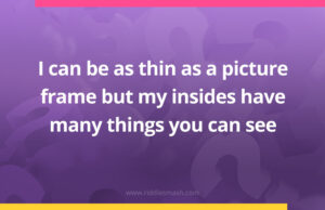 I can be as thin as a picture frame but my insides have many things you can see.
